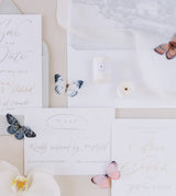 Ribbon Fragments - Sfumato Latte