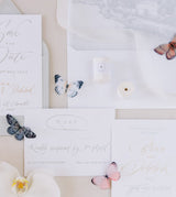 SFUMATO LATTE - Natural silk ribbon