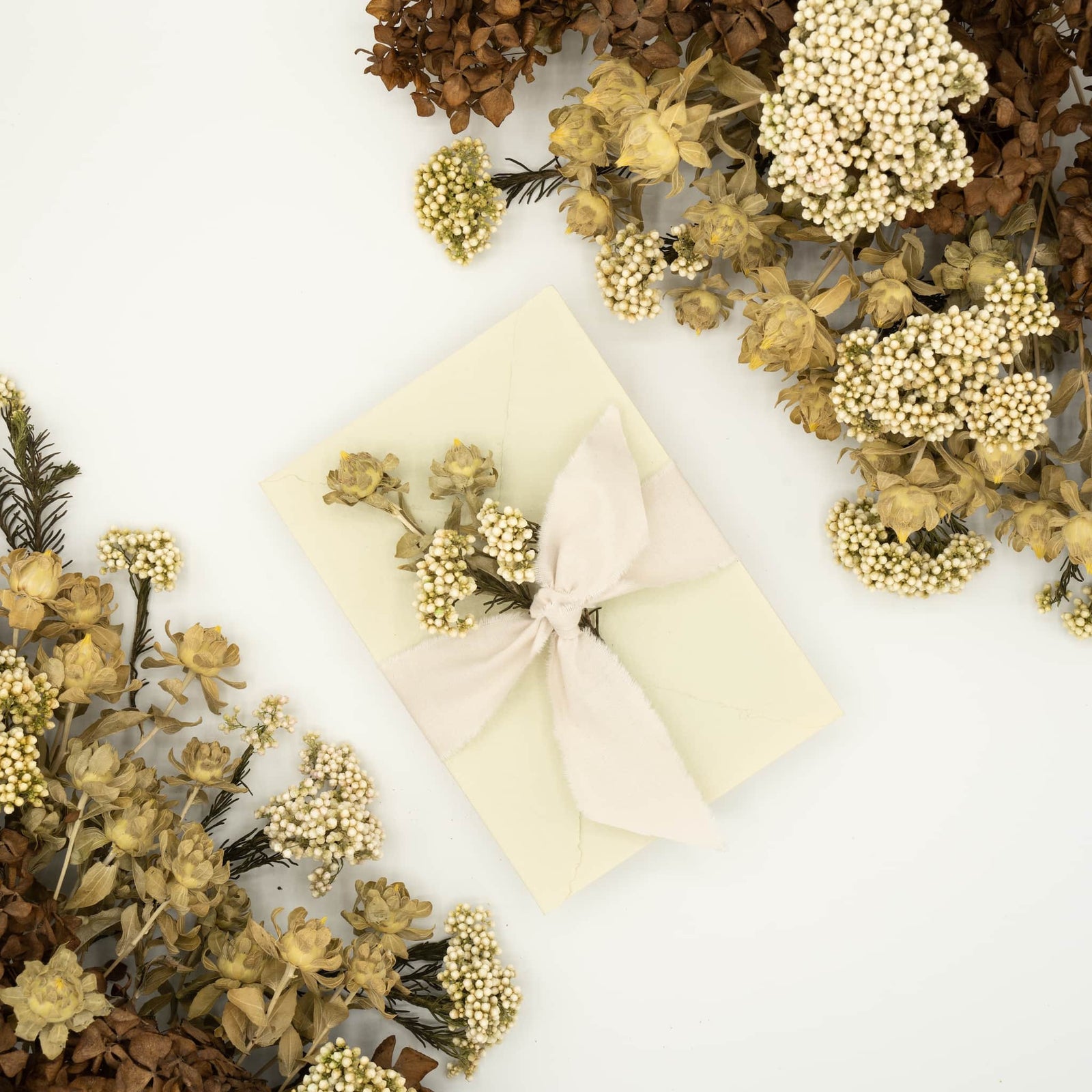 LIGHT CREPE BERMUDA ロゴ RIBBON 1 1/2